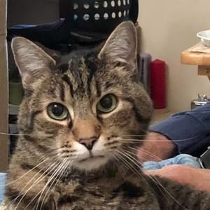 Meet your Posher, Barbra